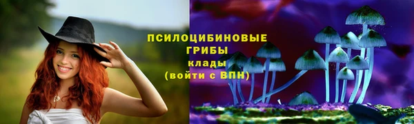 а пвп мука Карталы