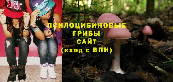 гашишное масло Касимов