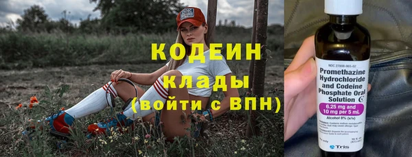 дживик Карпинск